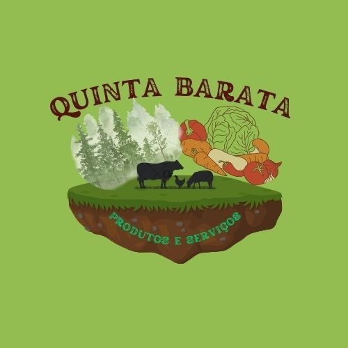 Nozes caseiras da zona de sicó