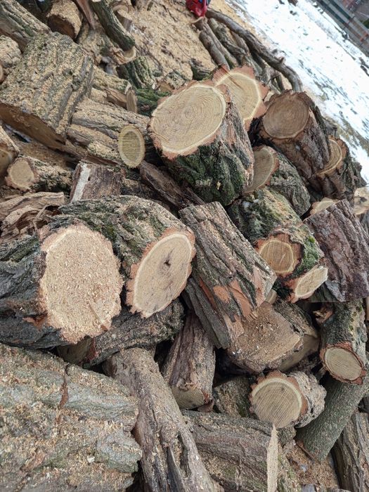 Drewno opałowe i kominkowe