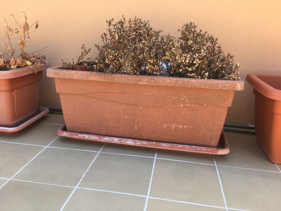 Vaso grande Leroy 1 metro x 40cm