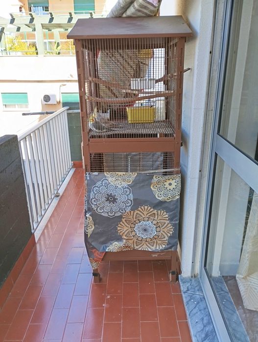 Vendo Casal de caturas