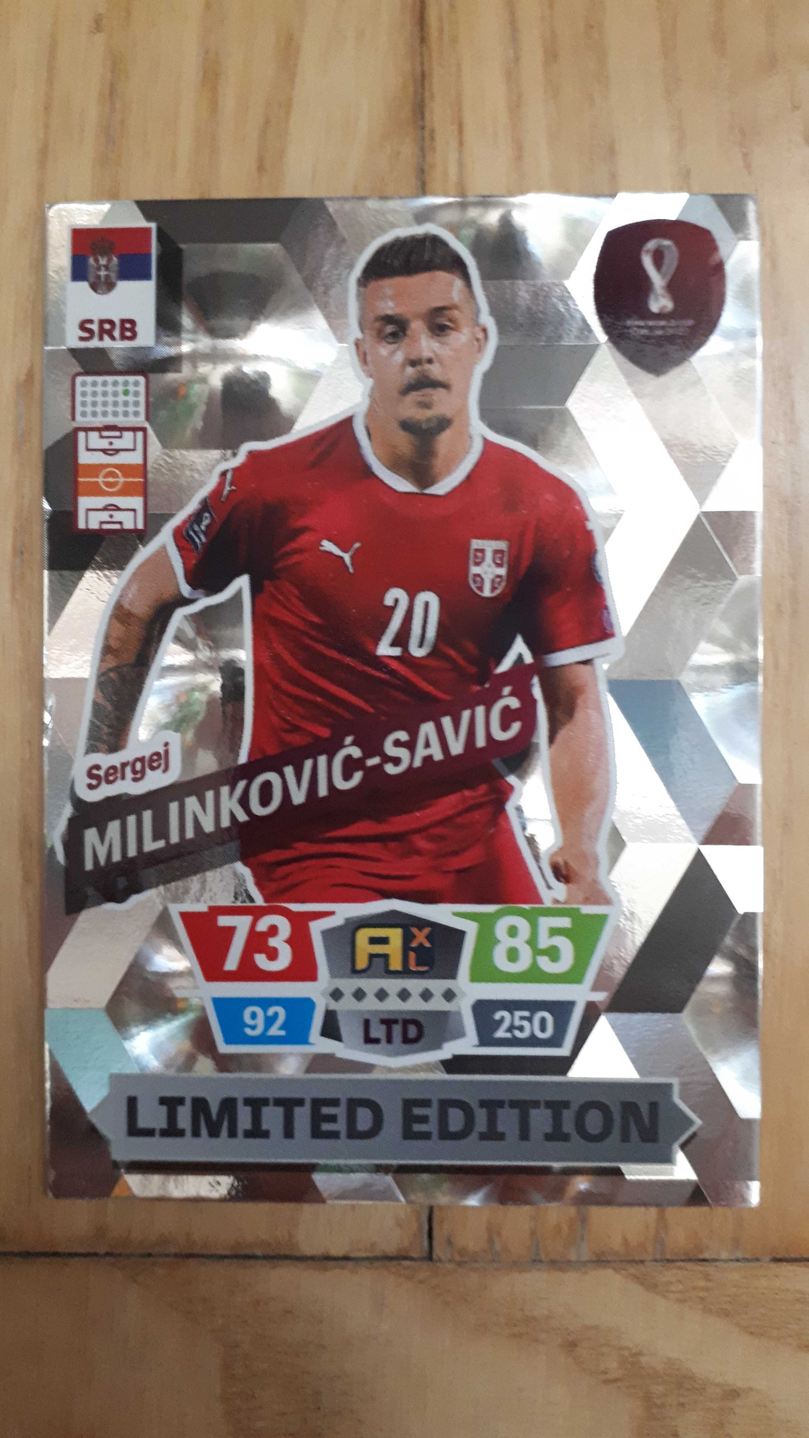 Qatar 2022 limited Savic-Simon