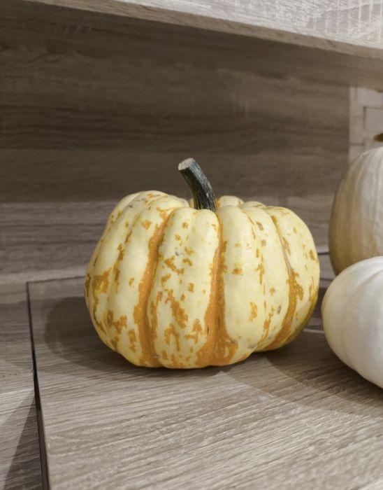 Dynia ozdobna, ozdoba halloween