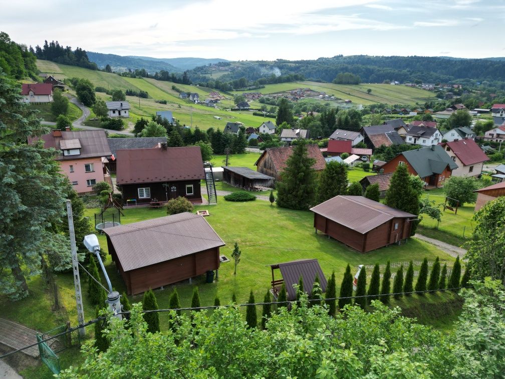 Domki do wynajęcia nad jeziorem Solińskim