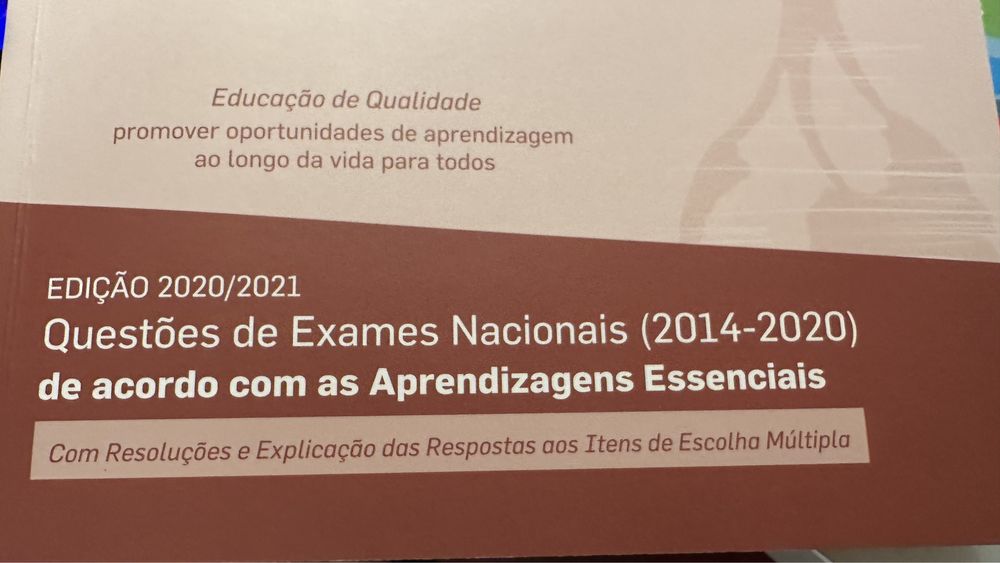 IAVE Geografia A 10/11 anos