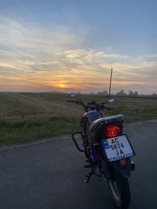 Musstang fortuna 200