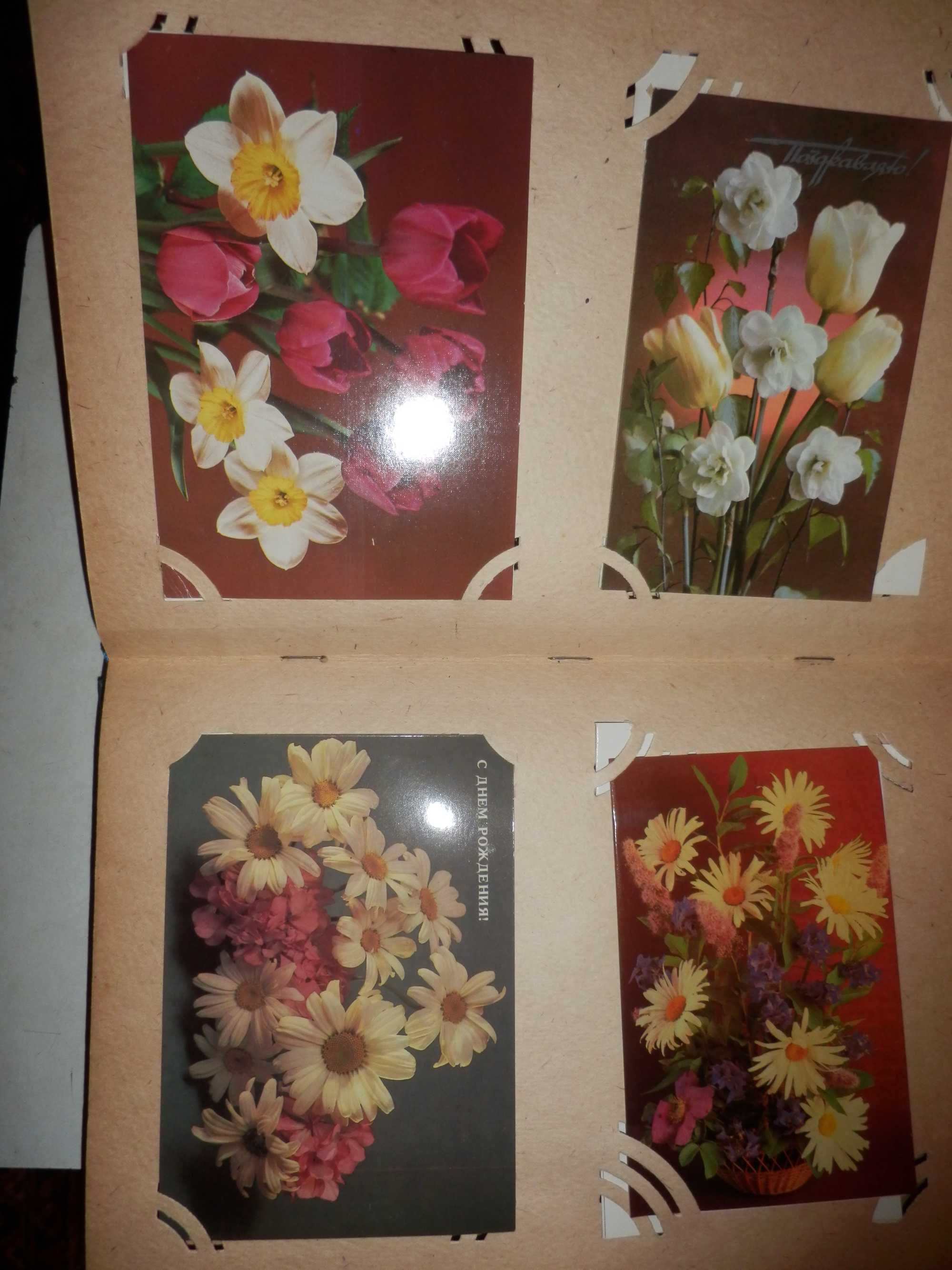 альбомы с фото советских актеров и открытки цветов