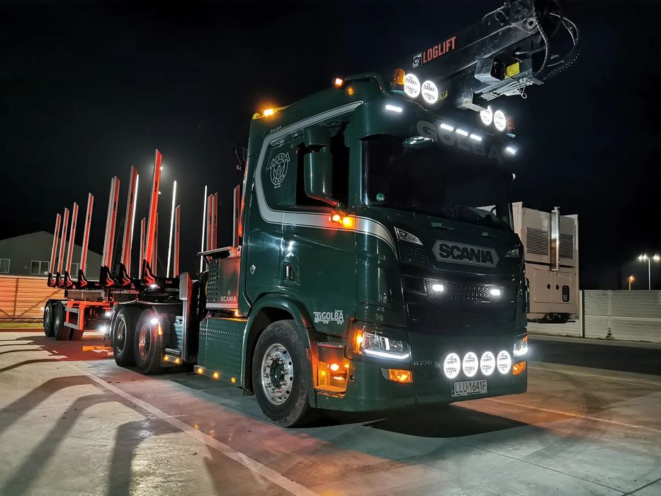 Scania R770  6x4, Loglift 251s, DOLL LOGO 21, komplet
