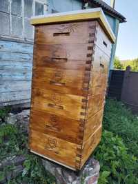 Продам вулики для бджіл багатокорпусні 10 рамкові ( улья )