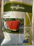 Кавун Карістан від Syngenta
