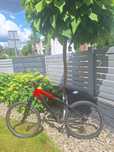 Rower MTB Specialized – Truvativ, Shimano Acera