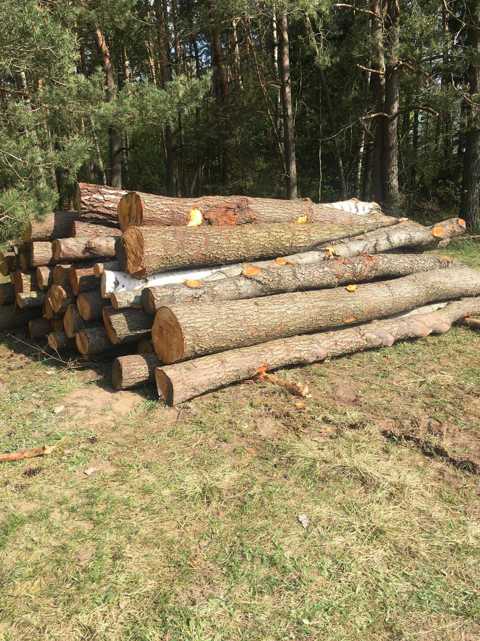 Sprzedam olche 4m/2m