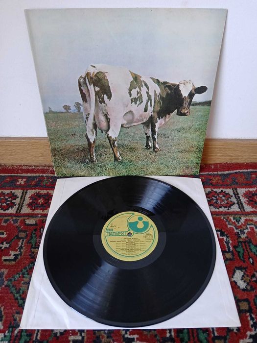 Pink Floyd, David Gilmour e Roger Waters : Lote discos de vinil