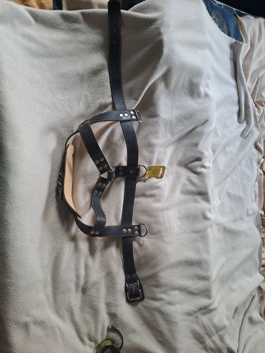 Шлея кожа (для великих собак)