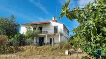 Quinta T3 em Celorico (São Pedro e Santa Maria) e Vila Boa do Mondego