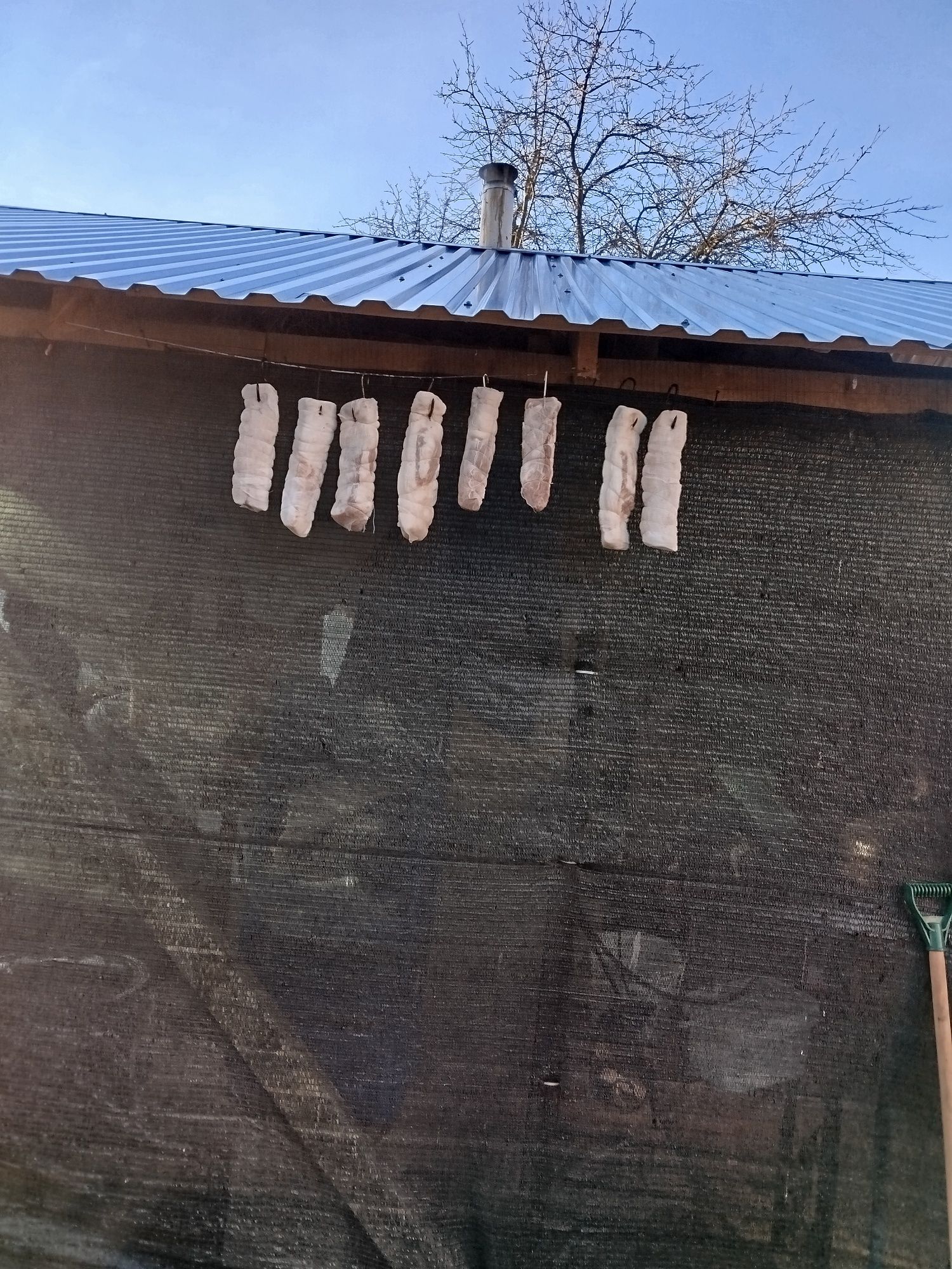 Мясо домашнього кролика