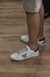 Golden Goose Novas