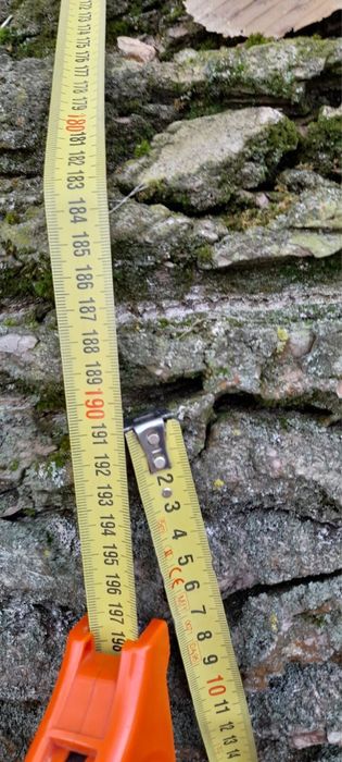 Drzewo Topola / Średnica 2m , Długość 5m