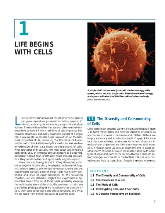 Molecular Cell Biology Lodish 5th Edition