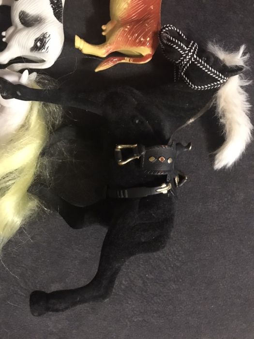 Домашние животные лошадки