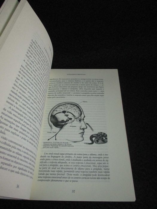 Livro Inteligência Emocional Daniel Goleman