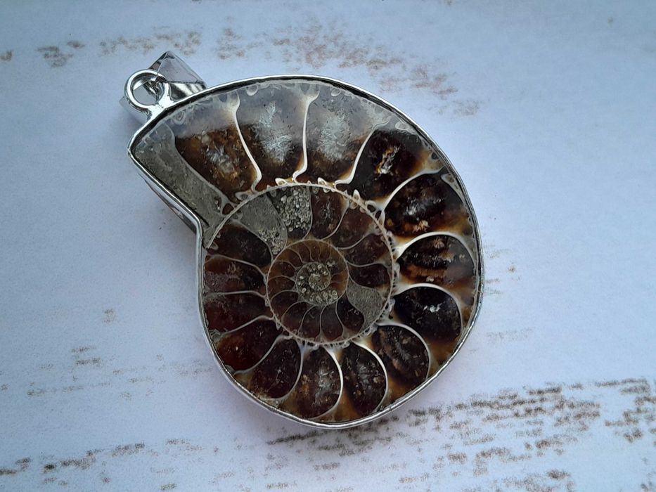 Амоніт кулон мушля, аммонит ракушка, окаменелость натуральный камень