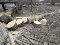 Видалення Аварійних дерев Продам обрезки дрова доставка  Кобижча Горб
