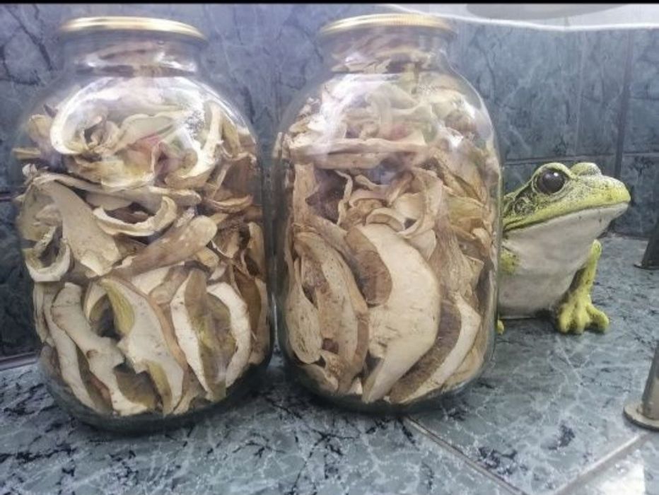 Мариновані Білі гриби сухі Білі гриби Лисички