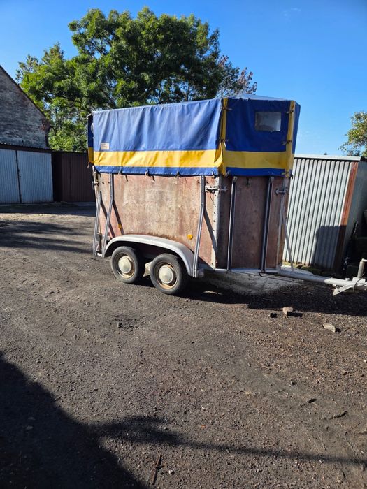 Przyczepa do przewozu zwierząt