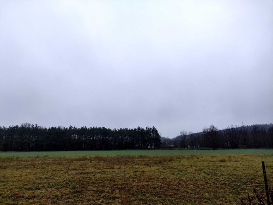 Działka na sprzedaż, Zamek Bierzgłowski