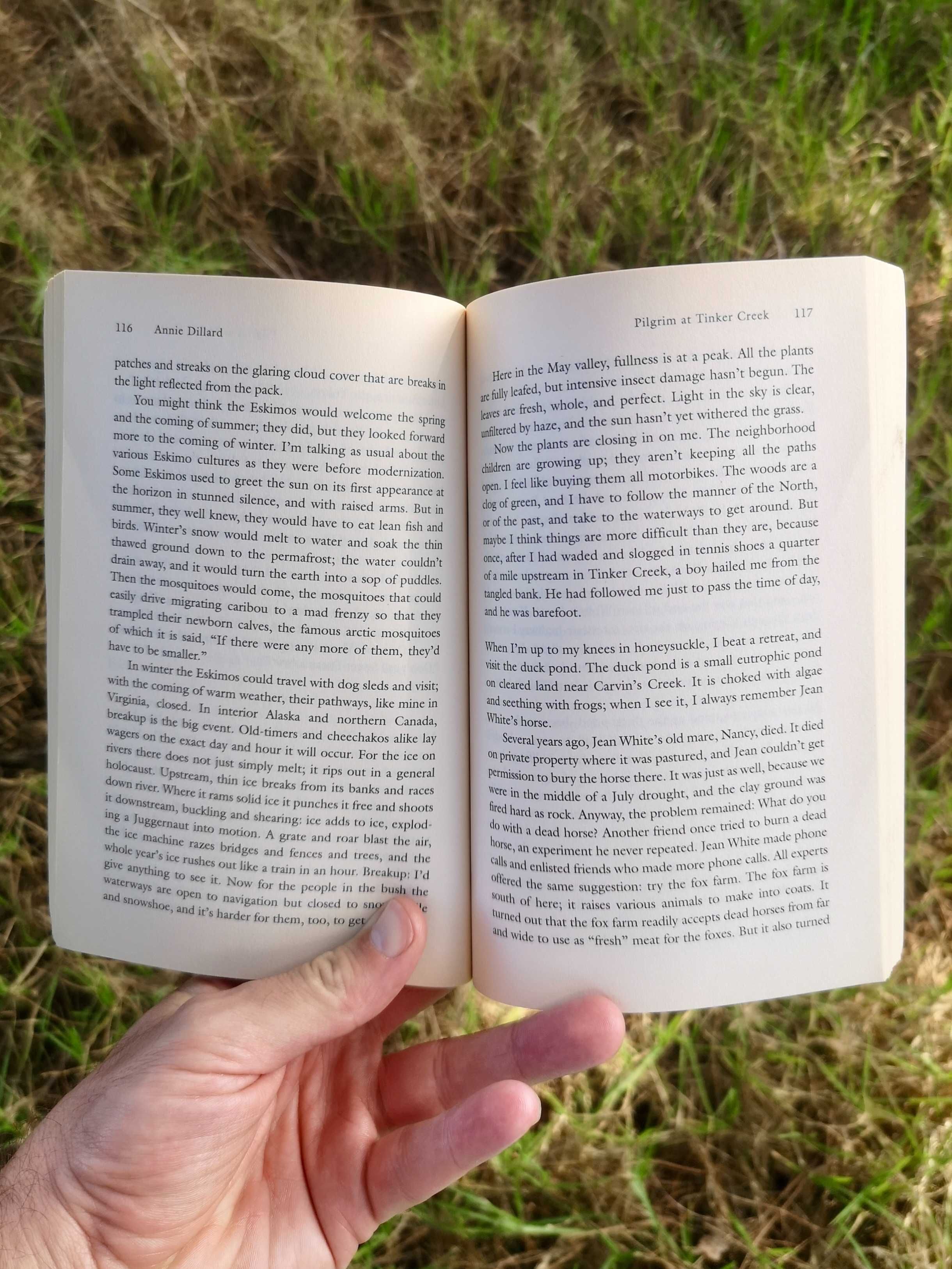 Livro Pilgrim at Tinker Creek / Annie Dillard