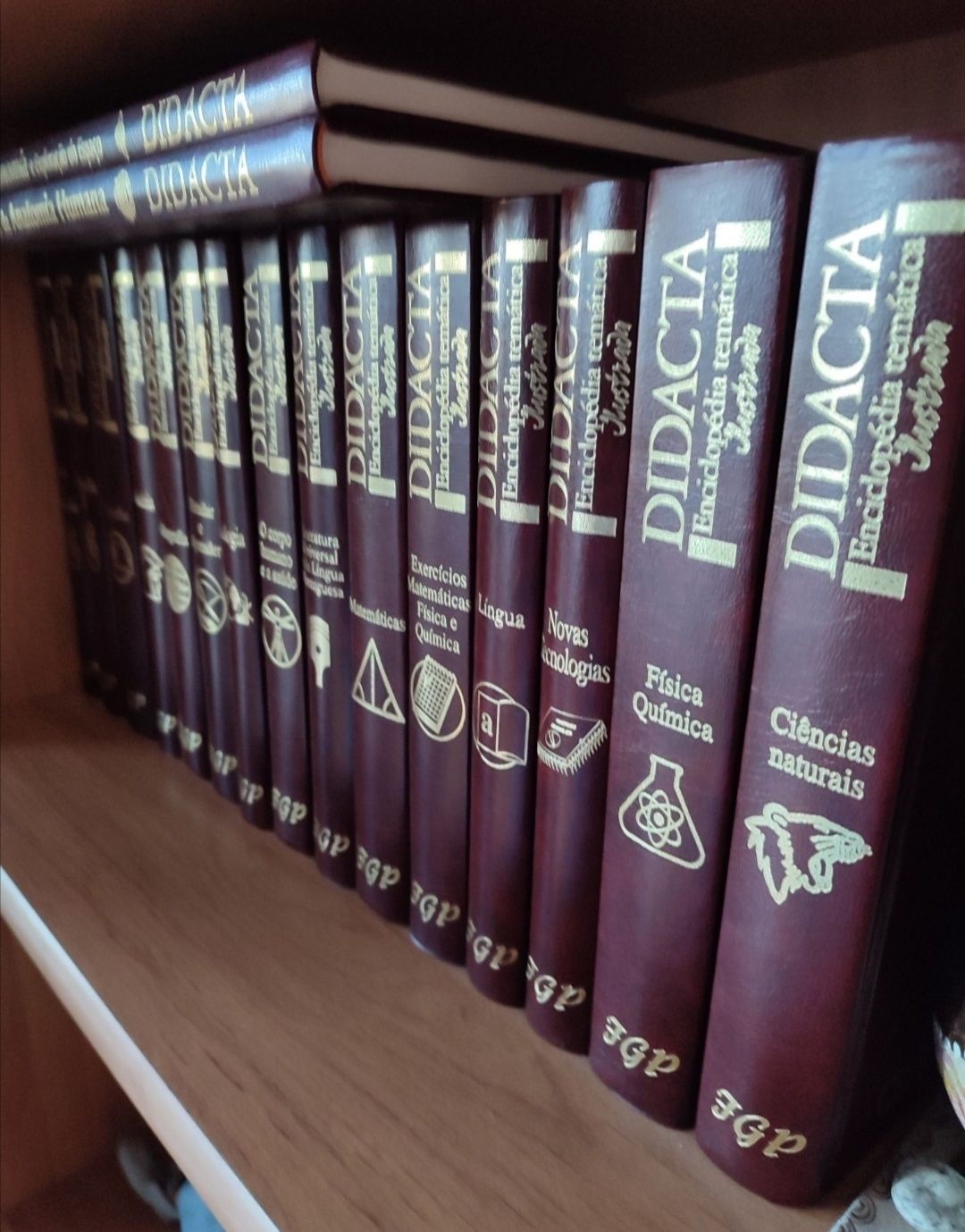 Coleção de Livros - DIDACTA - Enciclopédia Temática Ilustrada
