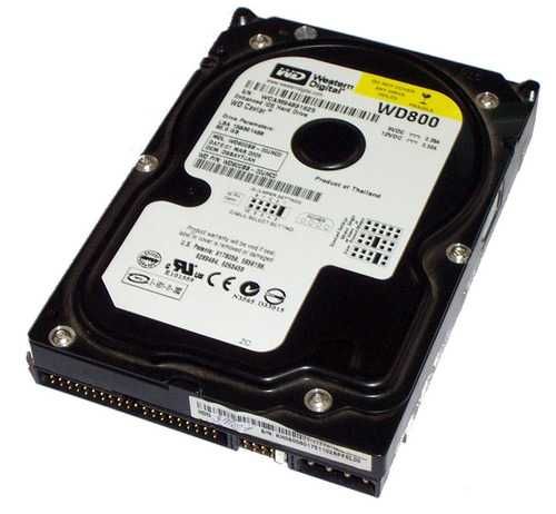 Dysk twardy Western Digital 80 GB
