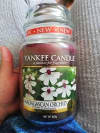 Madagascan Orchid yankee candle