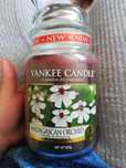 Madagascan Orchid yankee candle