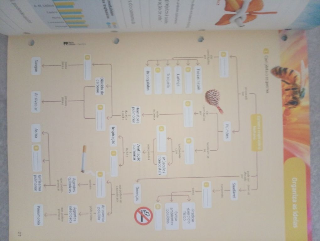 CienTic 6 caderno de atividades ciências naturais