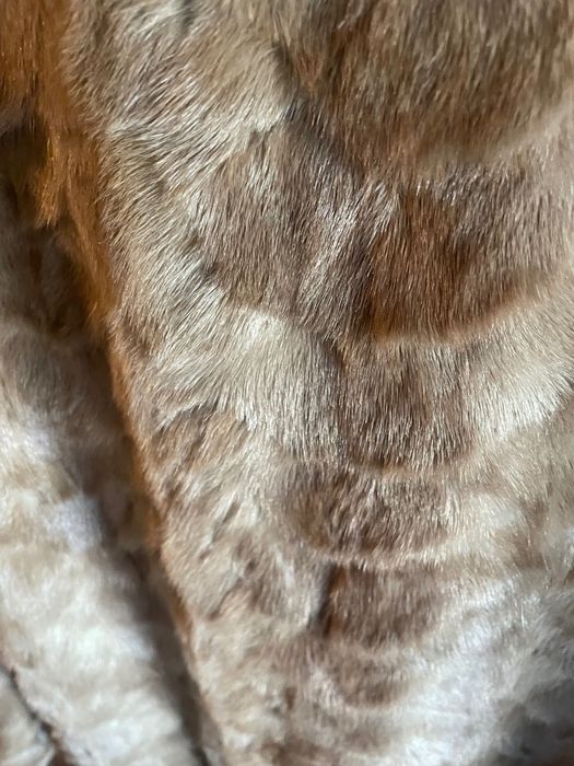 Norki z lisem idealne