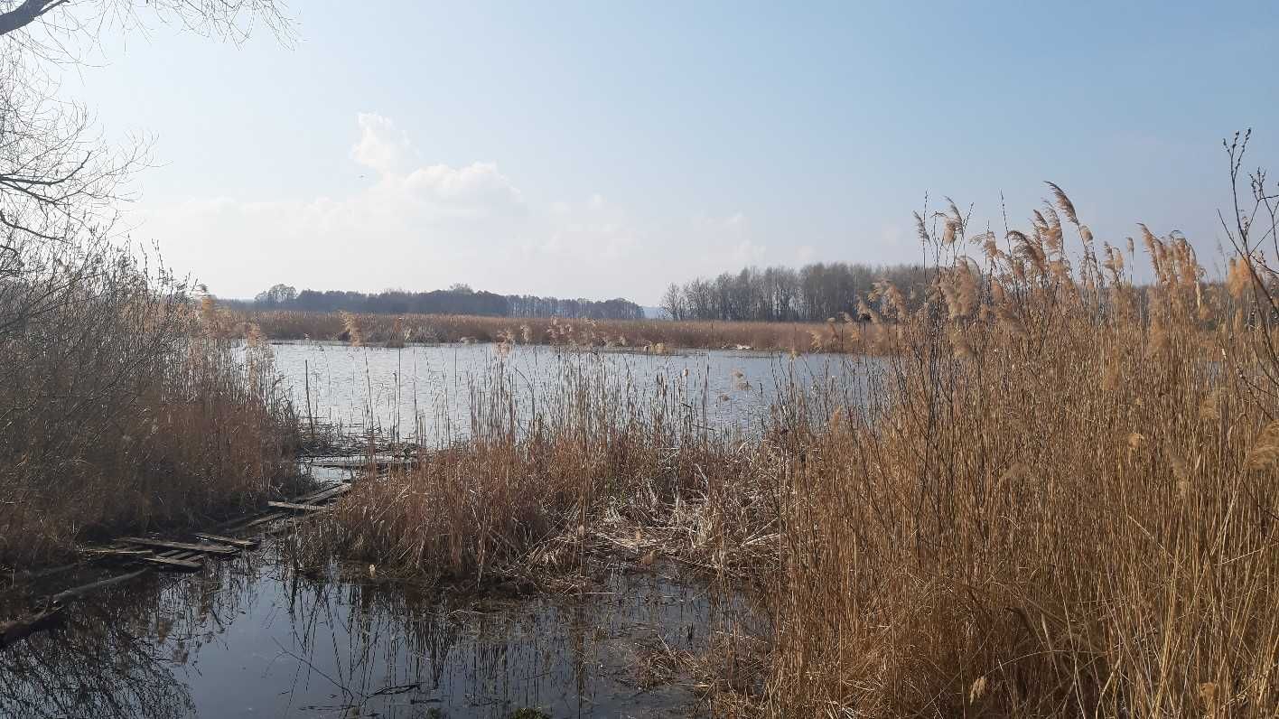 Земельна ділянка пл. 4 га (садівництво) Вороньківська с/р