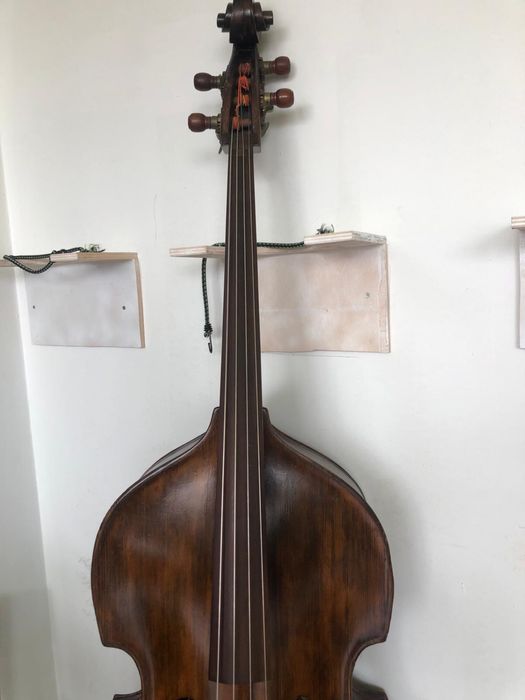 Contrabraixo de cordas 3/4