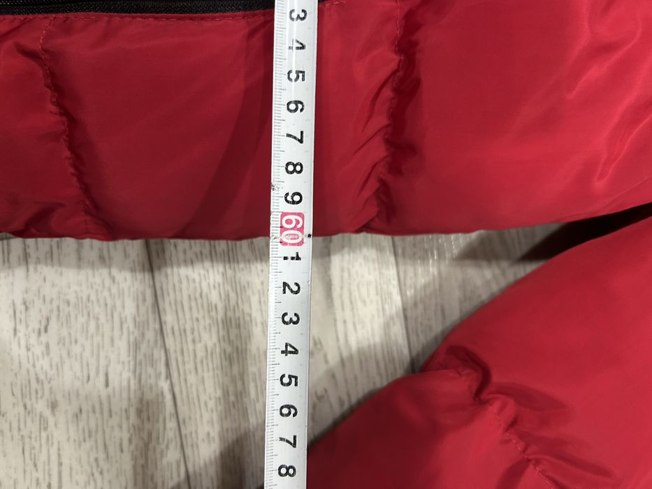 Червона зимова куртка The North Face