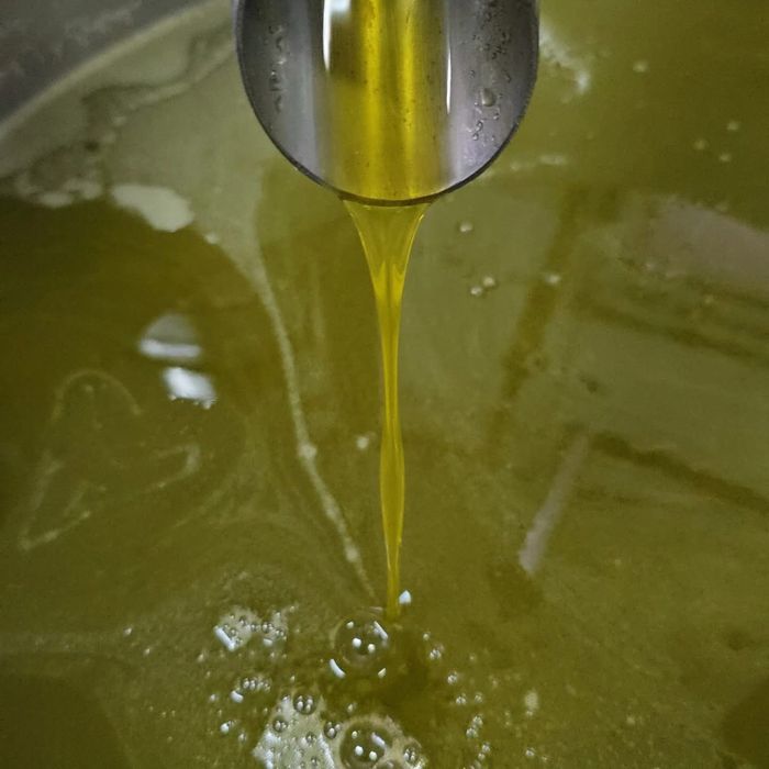 Azeite virgen biologico