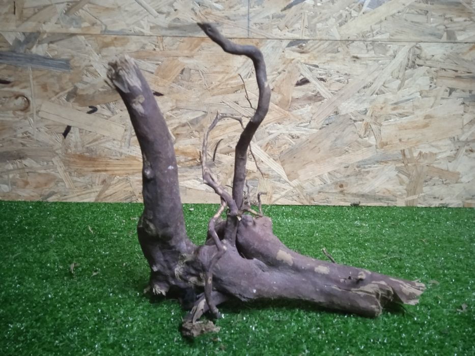 Korzeń do akwarium Red Moore Wood nr 739 o wymiarach 24/16/18