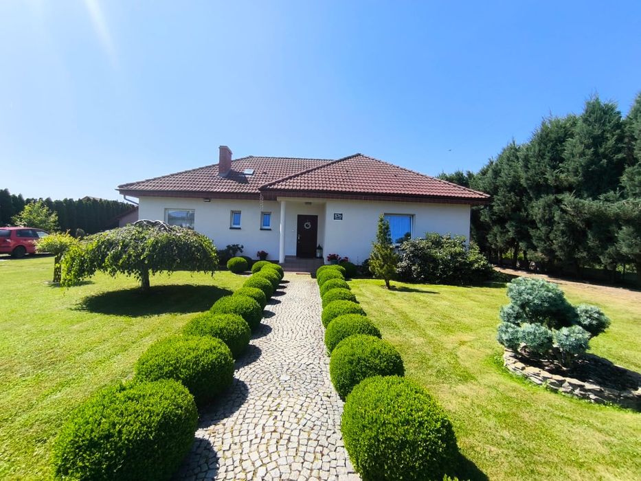 Dom wolnostojacy parterowy