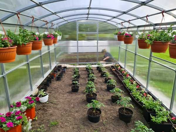 Szklarnia Proste ściany Poliwęglan 4/6mm 3x4 3x6 3x8 3x10 profil 40x20