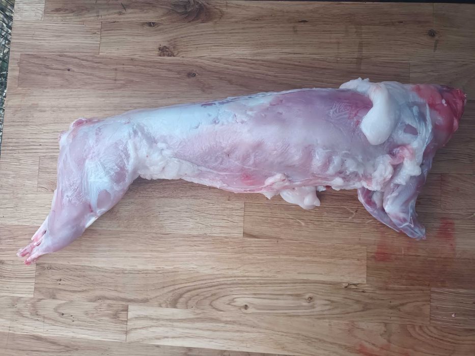 Świeża Tusza Królicza z Przydomowej Hodowli DARMOWA DOSTAWA GDAŃSK!