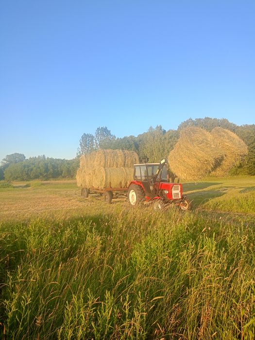 Siano w belach 120/120