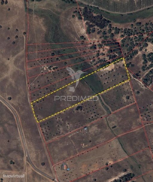 Terreno com mais de 5 hectares para venda em Ferreira do Alentejo