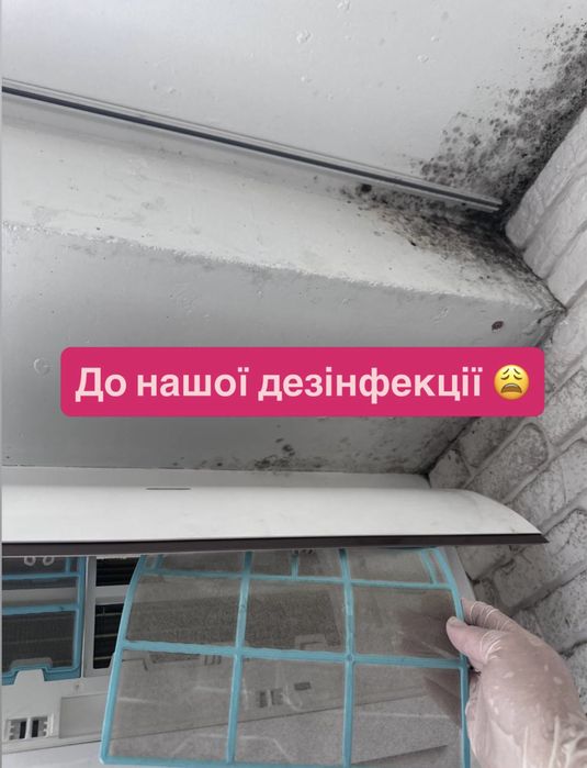 ‼️Удаление плесени - устранение грибка с гарантией на 3 года! Под ключ