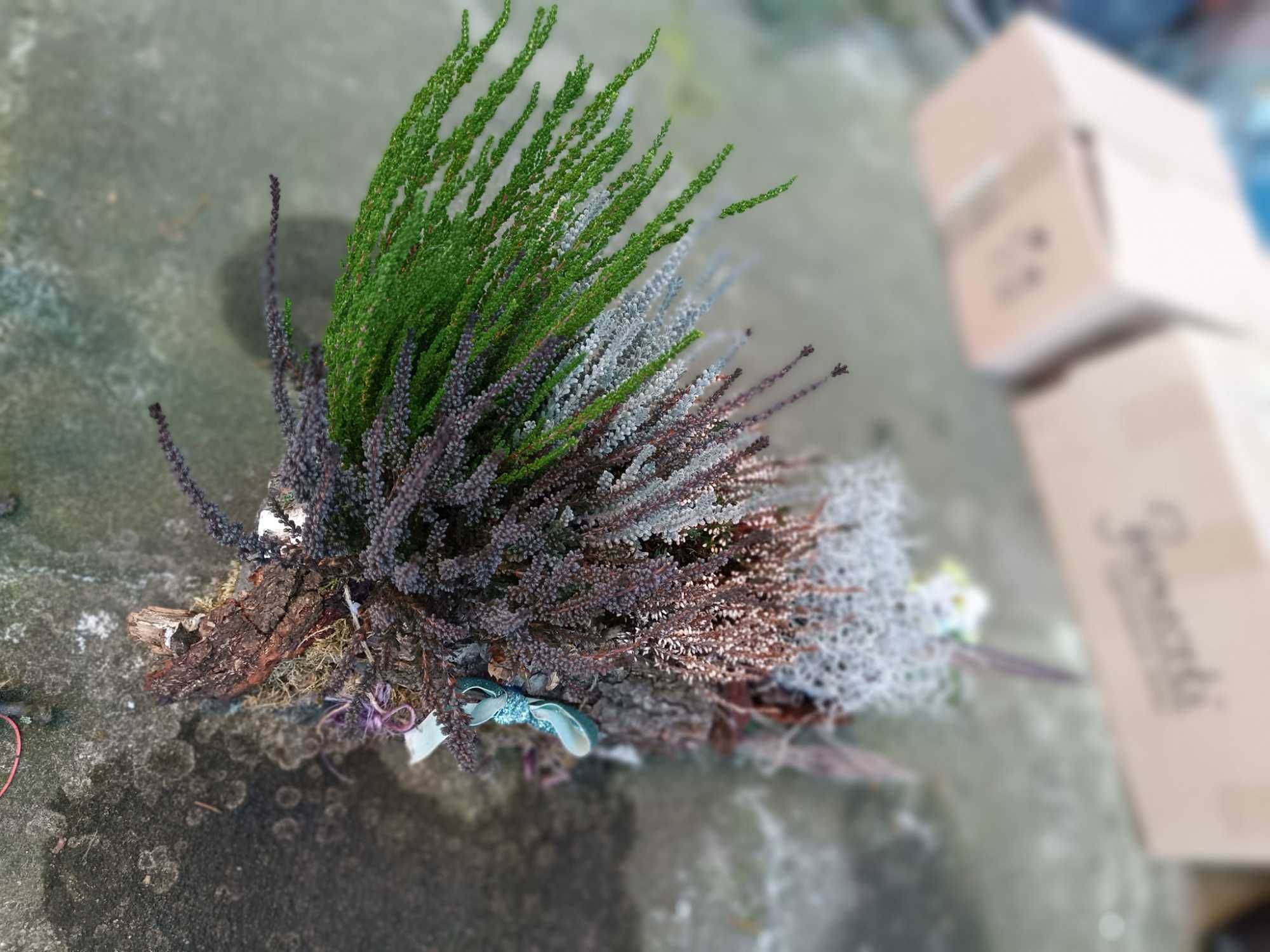 Stroik na cmentarz całoroczny naturalny