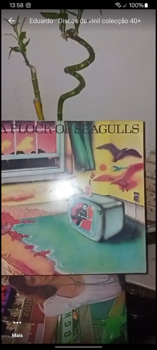 Discos de vinil lote colecção 30€