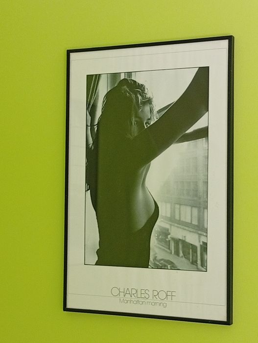 Piękny obraz na ścianę do pokoju